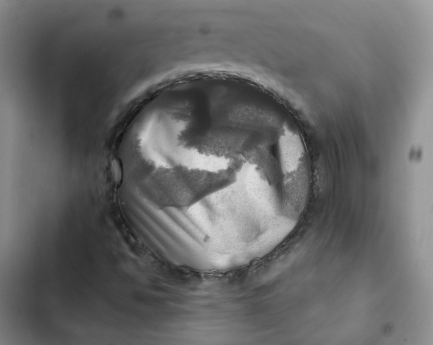 X0000102501494200808221741