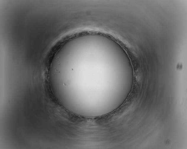 X0000102501495200808221741