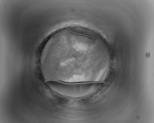 X0000102501496200808221741