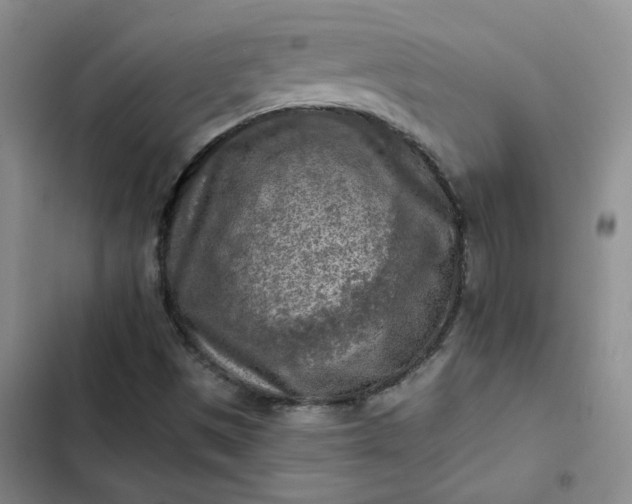 X0000102501497200808221742