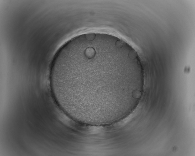 X0000102501498200808221742