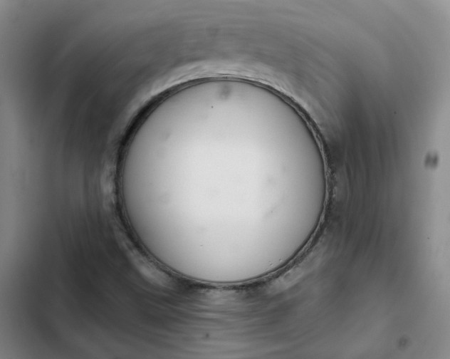 X0000102501499200808221742