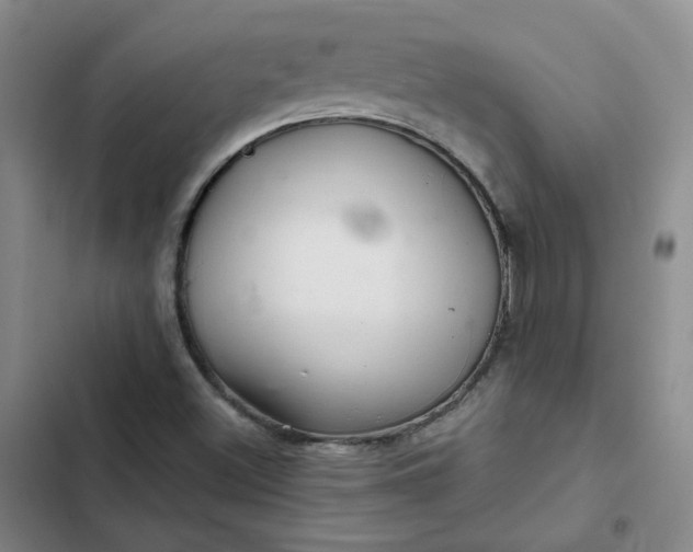 X0000102501500200808221742