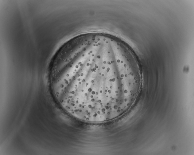 X0000102501501200808221742