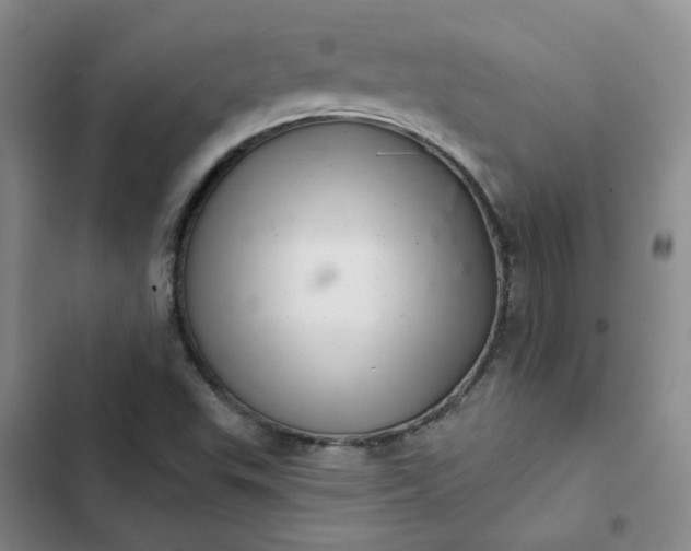 X0000102501503200808221742