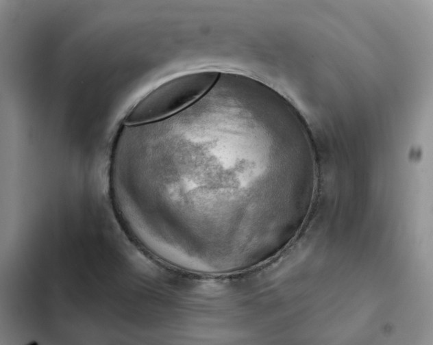 X0000102501504200808221742