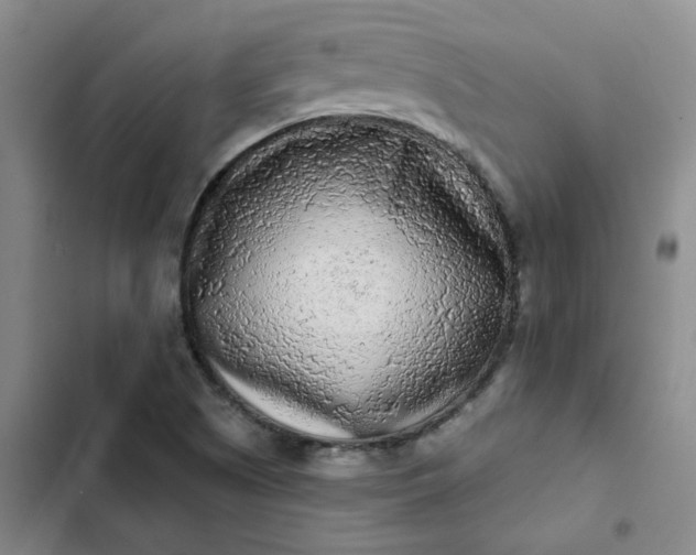 X0000102501505200808221742