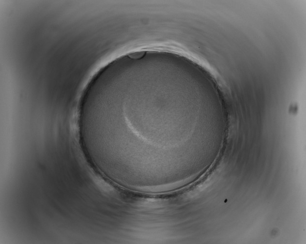 X0000102501506200808221742