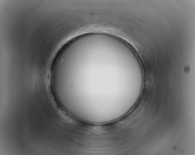 X0000102501507200808221742