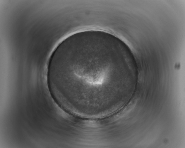 X0000102501508200808221742