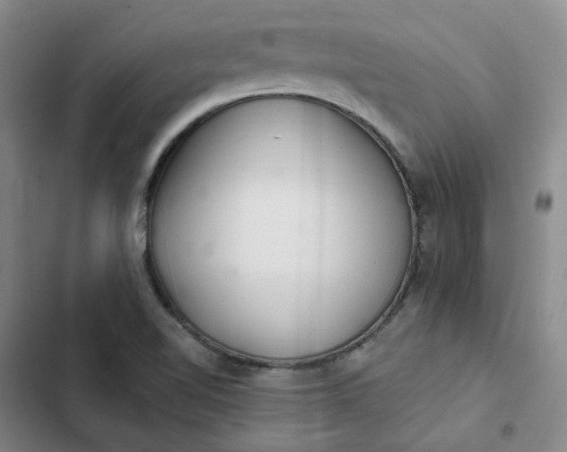 X0000102501510200808221742