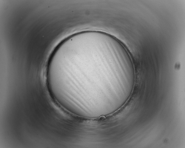 X0000102501511200808221742