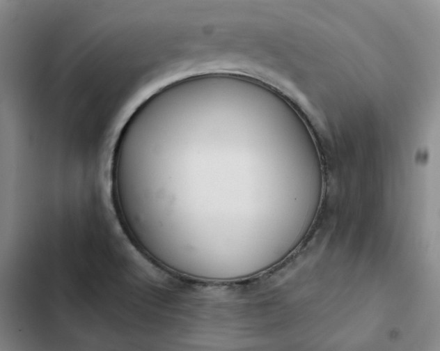 X0000102501512200808221742