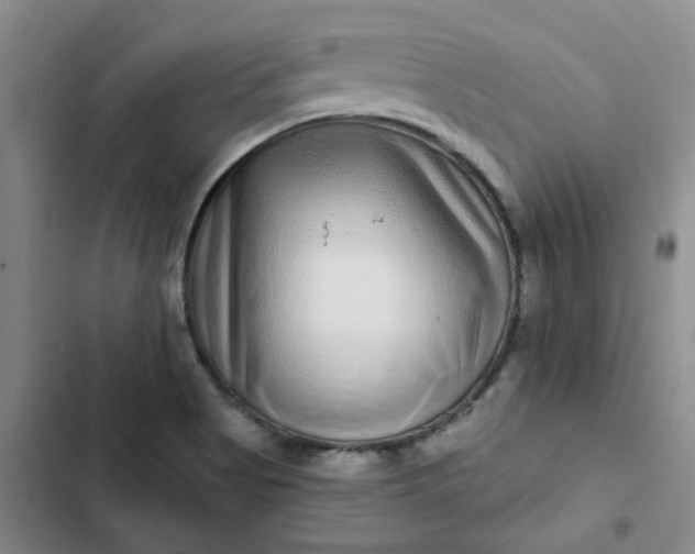 X0000102501513200808221742