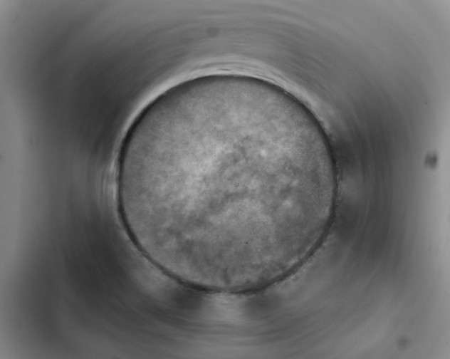 X0000102501514200808221742