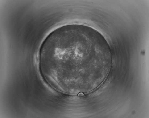 X0000102501515200808221742