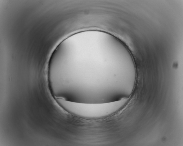 X0000102501516200808221742