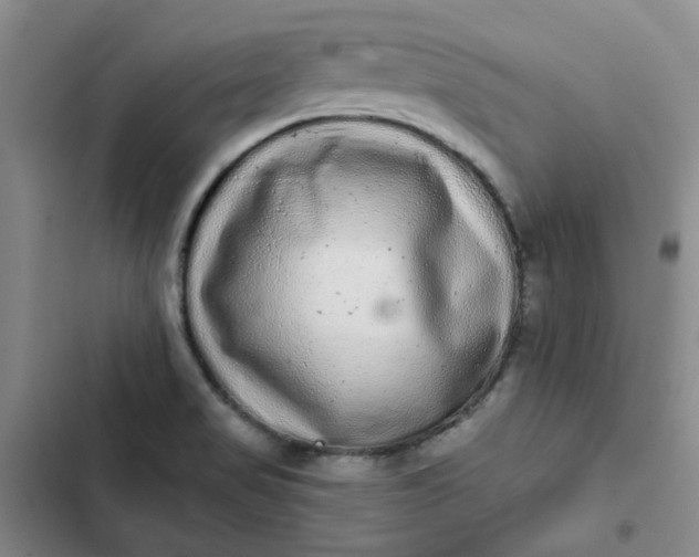 X0000102501517200808221742