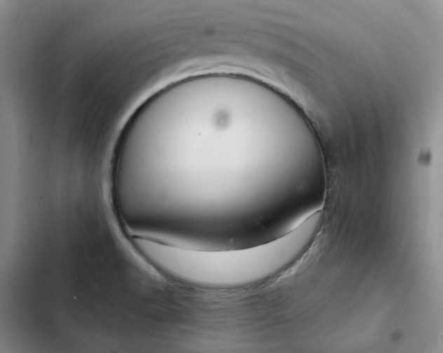 X0000102501518200808221742