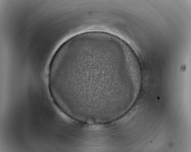 X0000102501519200808221742