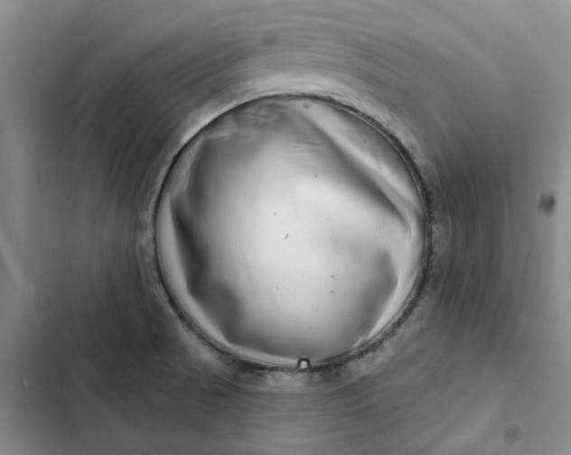 X0000102501521200808221742