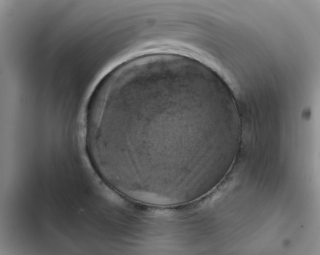 X0000102501522200808221742