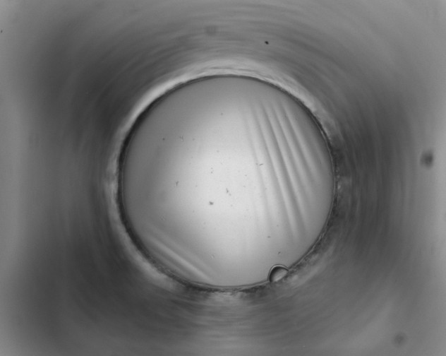 X0000102501523200808221742