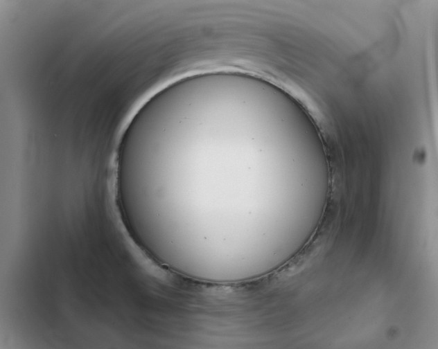 X0000102501524200808221742