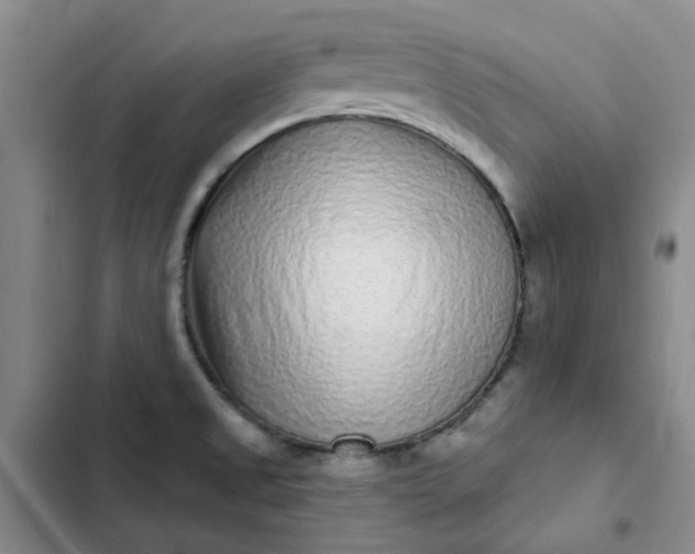 X0000102501525200808221742