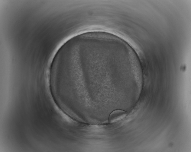 X0000102501527200808221742