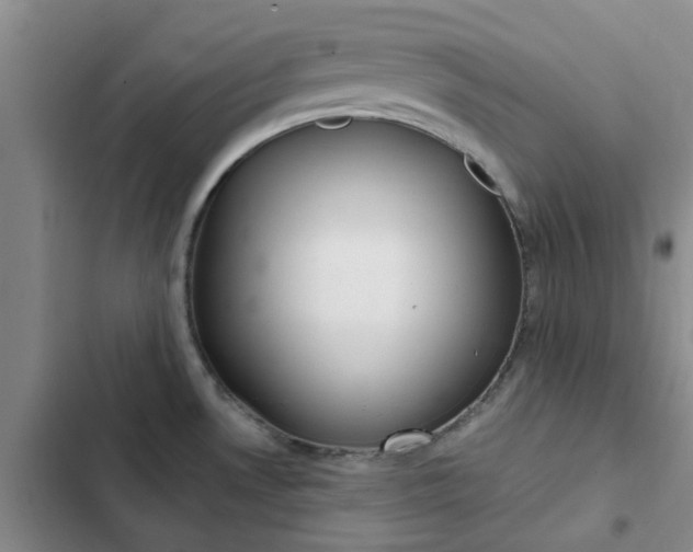 X0000102501530200808221742