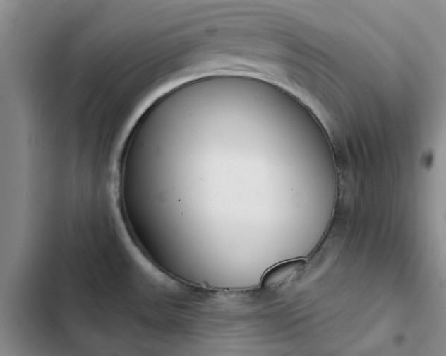 X0000102501531200808221742