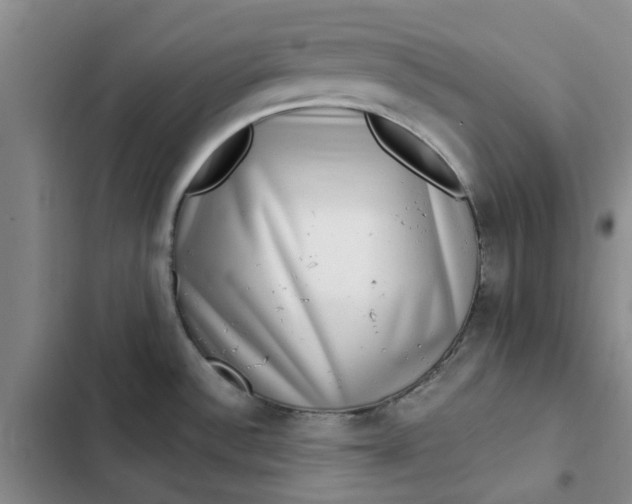 X0000102501532200808221742