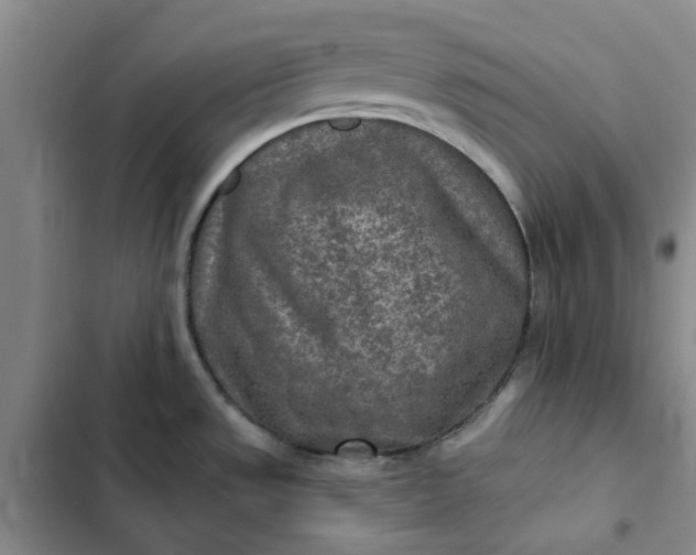 X0000102501533200808221742