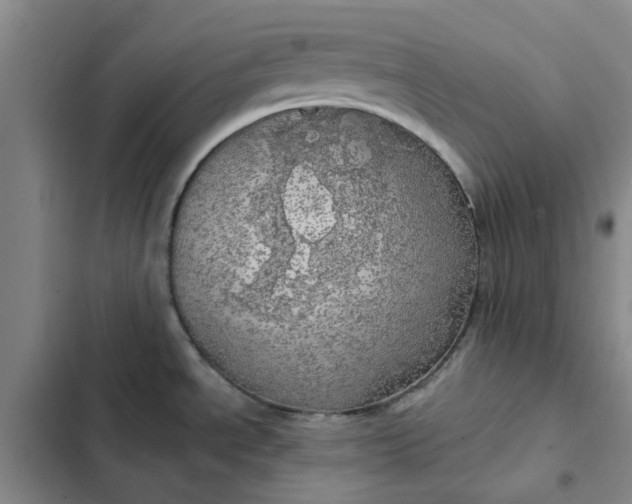 X0000102501534200808221742