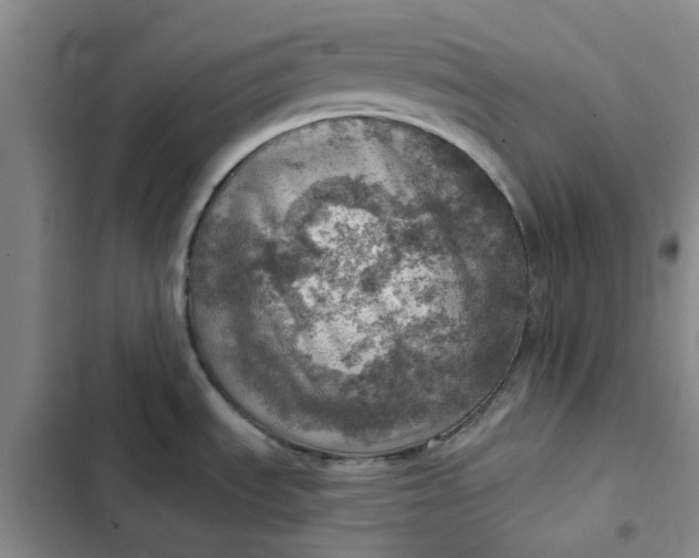 X0000102501535200808221742