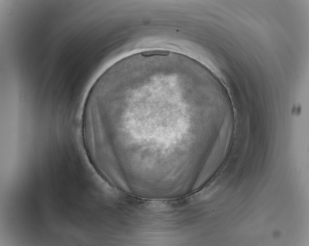 X0000102501536200808221742