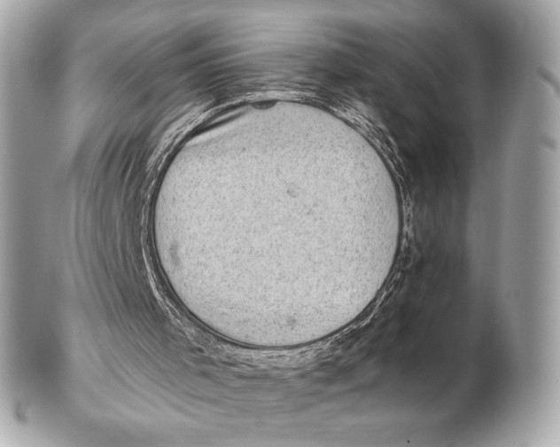 X0000102500001200808291721