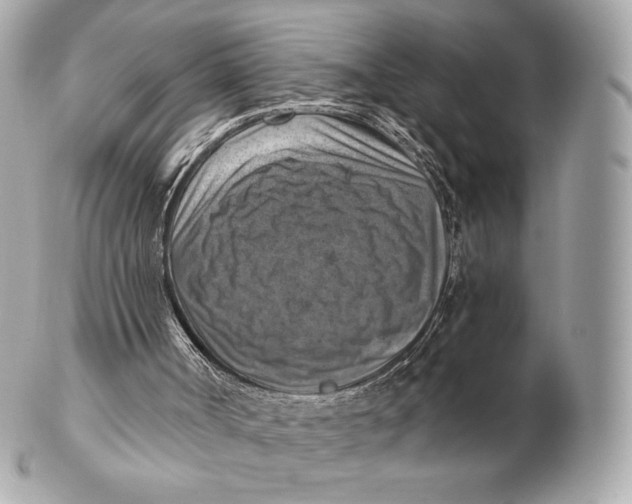 X0000102500002200808291721