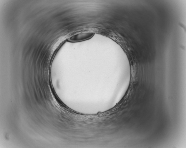 X0000102500003200808291721