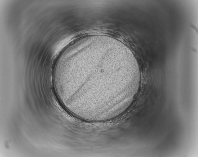 X0000102500005200808291721