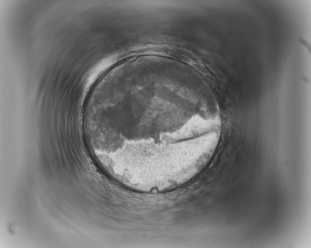 X0000102500006200808291721