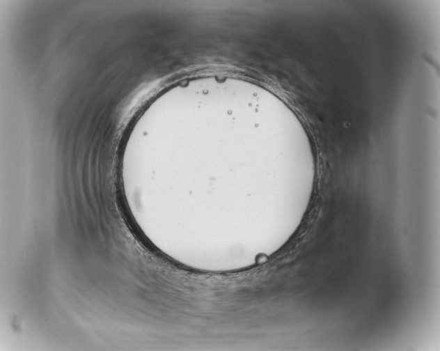 X0000102500007200808291721