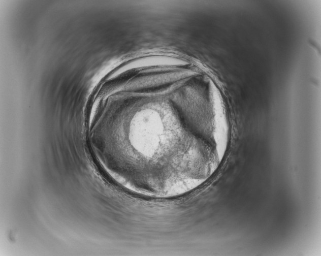 X0000102500008200808291721