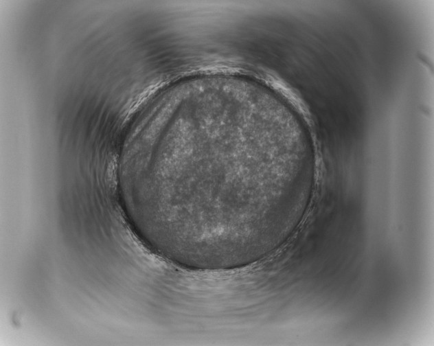 X0000102500009200808291721