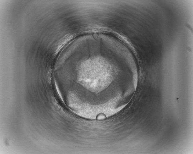 X0000102500010200808291721