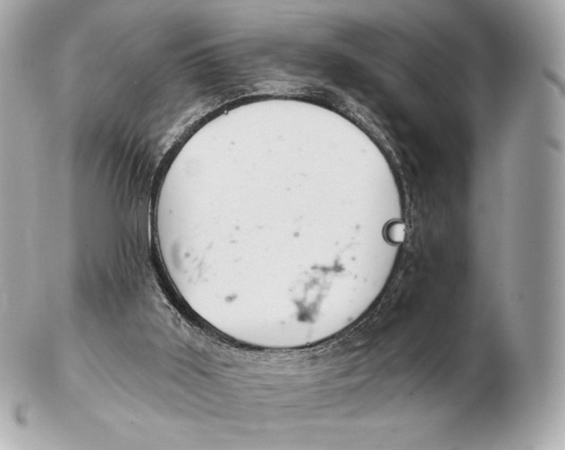 X0000102500011200808291721