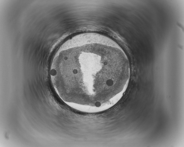 X0000102500012200808291721