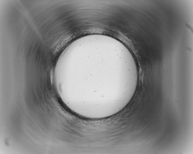 X0000102500013200808291721