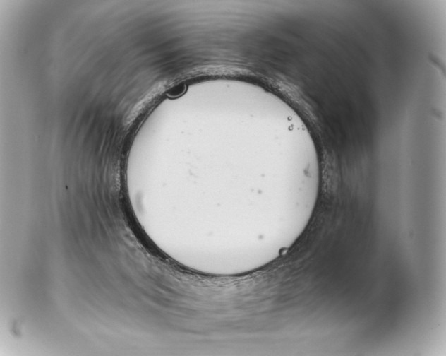 X0000102500015200808291721